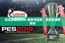 在北京赌世界杯-激战与狂热，北京夜话世界杯