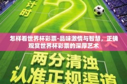 怎样看世界杯彩票-品味激情与智慧，正确观赏世界杯彩票的深厚艺术