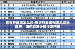 世界杯彩票怎么赔-世界杯彩票投注及赔率解析，如何精准计算投资回报