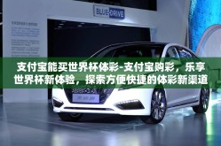 支付宝能买世界杯体彩-支付宝购彩，乐享世界杯新体验，探索方便快捷的体彩新渠道