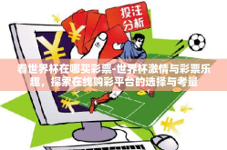 看世界杯在哪买彩票-世界杯激情与彩票乐趣，探索在线购彩平台的选择与考量