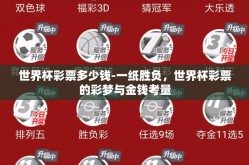 世界杯彩票多少钱-一纸胜负，世界杯彩票的彩梦与金钱考量