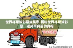 世界杯足球彩票返奖率-揭秘世界杯足球彩票，返奖率背后的真相