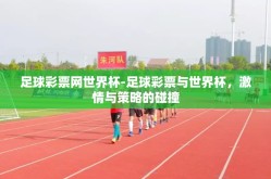足球彩票网世界杯-足球彩票与世界杯，激情与策略的碰撞