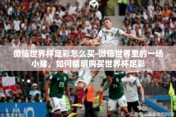 微信世界杯足彩怎么买-微信世界里的一场小赌，如何精明购买世界杯足彩
