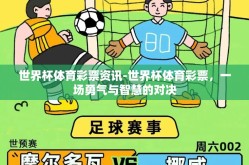 世界杯体育彩票资讯-世界杯体育彩票，一场勇气与智慧的对决