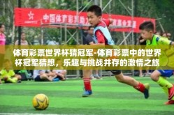 体育彩票世界杯猜冠军-体育彩票中的世界杯冠军猜想，乐趣与挑战并存的激情之旅