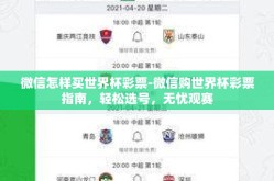 微信怎样买世界杯彩票-微信购世界杯彩票指南，轻松选号，无忧观赛