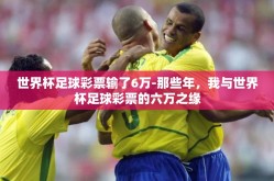世界杯足球彩票输了6万-那些年，我与世界杯足球彩票的六万之缘