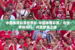 中国体育彩票世界杯-中国体育彩票，与世界杯同行，共筑梦想之翼