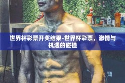 世界杯彩票开奖结果-世界杯彩票，激情与机遇的碰撞