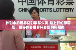 体彩中的世界杯彩票怎么买-踏上梦幻绿茵场，揭秘体彩世界杯彩票购彩指南