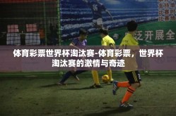 体育彩票世界杯淘汰赛-体育彩票，世界杯淘汰赛的激情与奇迹