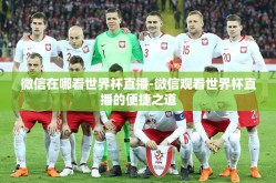 微信在哪看世界杯直播-微信观看世界杯直播的便捷之道