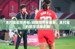 支付宝买世界杯-迎接世界杯盛宴，支付宝的数字足球之旅
