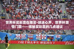 世界杯买彩票在哪买-球迷心声，世界杯激情门票——揭秘买彩票的几点建议