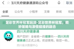 足彩世界杯冠军玩法-足彩世界杯冠军，精妙策略与激情碰撞的融合