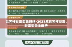 世界杯彩票奖金包括-2023年世界杯彩票，彩票奖金全解析