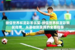 微信世界杯足彩怎么买-微信世界杯足彩购买指南，从基础到实践的全面指导