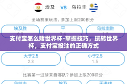支付宝怎么赌世界杯-掌握技巧，玩转世界杯，支付宝投注的正确方式