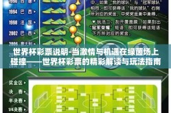 世界杯彩票说明-当激情与机遇在绿茵场上碰撞——世界杯彩票的精彩解读与玩法指南