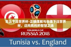 怎么下注世界杯-正确理解与合理下注世界杯，迈向胜利的智慧之选