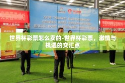 世界杯彩票怎么卖的-世界杯彩票，激情与机遇的交汇点