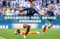 世界杯比赛有彩票吗-世界杯，激情与机遇并存的多样化体验