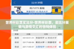 世界杯彩票买比分-世界杯彩票，买比分策略与激情交汇的独特体验