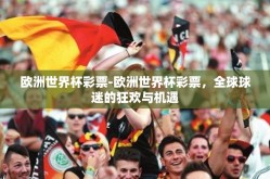 欧洲世界杯彩票-欧洲世界杯彩票，全球球迷的狂欢与机遇