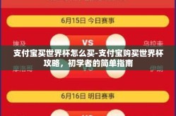 支付宝买世界杯怎么买-支付宝购买世界杯攻略，初学者的简单指南