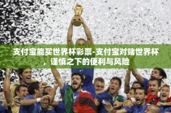 支付宝能买世界杯彩票-支付宝对赌世界杯，谨慎之下的便利与风险