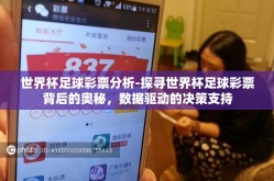 世界杯足球彩票分析-探寻世界杯足球彩票背后的奥秘，数据驱动的决策支持
