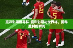 赢彩彩票世界杯-赢彩彩票与世界杯，揭秘胜利的瞬间