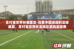 支付宝世界杯哪里买-探索中国球迷的足球盛宴，支付宝世界杯足球彩票购买指南