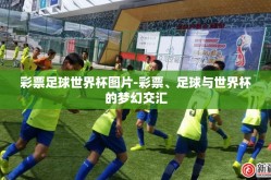 彩票足球世界杯图片-彩票、足球与世界杯的梦幻交汇