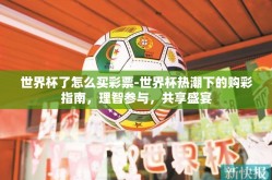 世界杯了怎么买彩票-世界杯热潮下的购彩指南，理智参与，共享盛宴