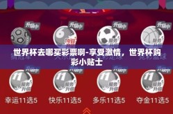 世界杯去哪买彩票啊-享受激情，世界杯购彩小贴士