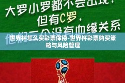 世界杯怎么买彩票保稳-世界杯彩票购买策略与风险管理