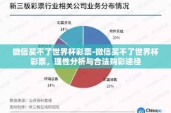 微信买不了世界杯彩票-微信买不了世界杯彩票，理性分析与合法购彩途径