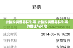 微信购买世界杯彩票-微信购买世界杯彩票的便捷与风险