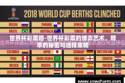 世界杯彩票赔-世界杯彩票的博弈艺术，赔率的秘密与选择策略