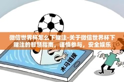 微信世界杯怎么下赌注-关于微信世界杯下赌注的智慧指南，谨慎参与，安全娱乐
