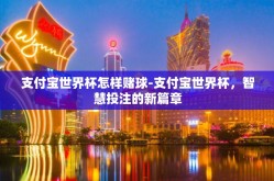 支付宝世界杯怎样赌球-支付宝世界杯，智慧投注的新篇章