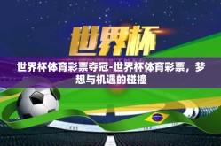 世界杯体育彩票夺冠-世界杯体育彩票，梦想与机遇的碰撞