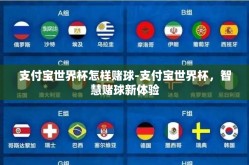 支付宝世界杯怎样赌球-支付宝世界杯，智慧赌球新体验