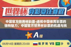 中国官方世界杯彩票-透视中国体育彩票的独特魅力，中国官方世界杯彩票的机遇与挑战