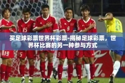 买足球彩票世界杯彩票-揭秘足球彩票，世界杯比赛的另一种参与方式