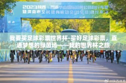 我要买足球彩票世界杯-买好足球彩票，直通梦想的绿茵场——我的世界杯之旅