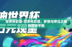 世界杯彩票-世界杯彩票，梦想与押注之间的微妙平衡